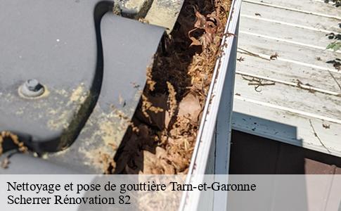 Nettoyage et pose de gouttière 82 Tarn-et-Garonne  Scherrer Rénovation 82