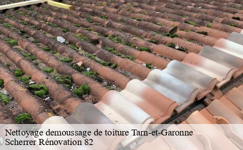 Nettoyage demoussage de toiture 82 Tarn-et-Garonne  Scherrer Rénovation 82