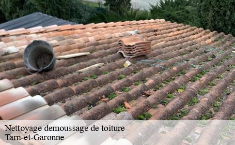 Nettoyage demoussage de toiture 82 Tarn-et-Garonne  Scherrer Rénovation 82