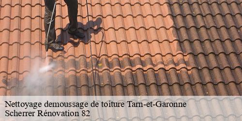 Nettoyage demoussage de toiture 82 Tarn-et-Garonne  Scherrer Rénovation 82