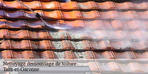 Nettoyage demoussage de toiture 82 Tarn-et-Garonne  Scherrer Rénovation 82