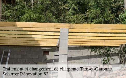Traitement et changement de charpente 82 Tarn-et-Garonne  Scherrer Rénovation 82