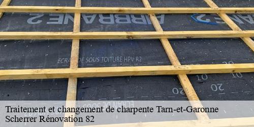 Traitement et changement de charpente 82 Tarn-et-Garonne  Scherrer Rénovation 82