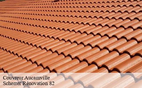 Couvreur  aucamville-82600 Scherrer Rénovation 82
