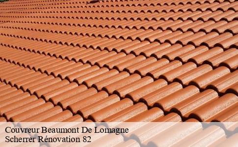 Couvreur  beaumont-de-lomagne-82500 Scherrer Rénovation 82