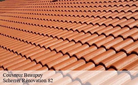 Couvreur  beaupuy-82600 Scherrer Rénovation 82