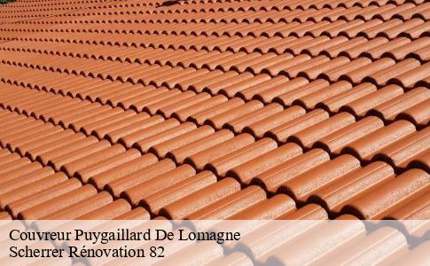 Couvreur  puygaillard-de-lomagne-82120 Scherrer Rénovation 82
