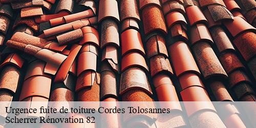 Urgence fuite de toiture  cordes-tolosannes-82700 Scherrer Rénovation 82