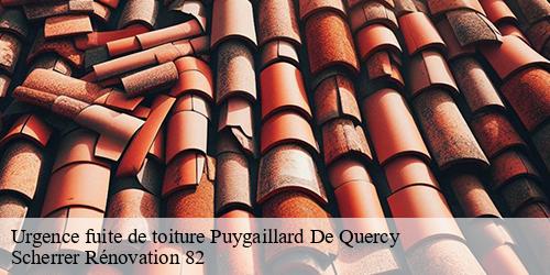 Urgence fuite de toiture  puygaillard-de-quercy-82800 Scherrer Rénovation 82