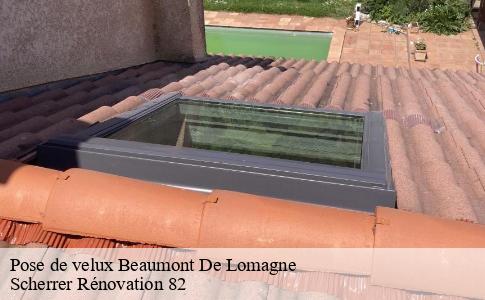 Pose de velux  beaumont-de-lomagne-82500 Scherrer Rénovation 82