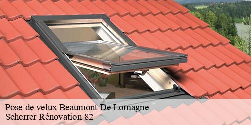Pose de velux  beaumont-de-lomagne-82500 Scherrer Rénovation 82