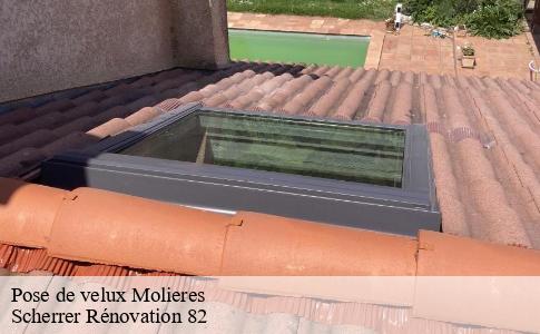 Pose de velux  molieres-82220 Scherrer Rénovation 82