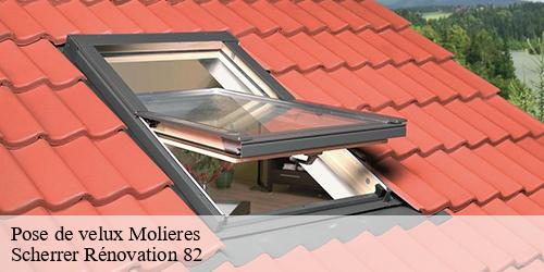 Pose de velux  molieres-82220 Scherrer Rénovation 82