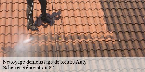 Nettoyage demoussage de toiture  auty-82220 Scherrer Rénovation 82