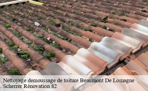 Nettoyage demoussage de toiture  beaumont-de-lomagne-82500 Scherrer Rénovation 82