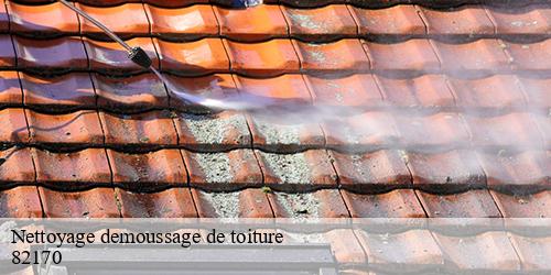 Nettoyage demoussage de toiture  bessens-82170 Scherrer Rénovation 82