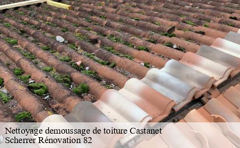 Nettoyage demoussage de toiture  castanet-82160 Scherrer Rénovation 82