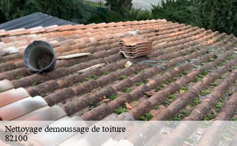 Nettoyage demoussage de toiture  castelferrus-82100 Scherrer Rénovation 82