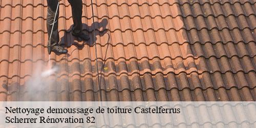 Nettoyage demoussage de toiture  castelferrus-82100 Scherrer Rénovation 82