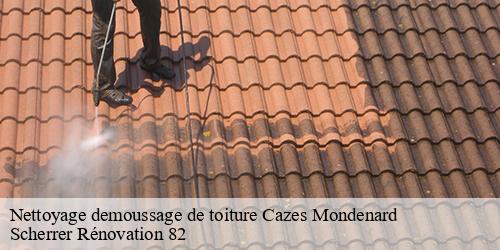 Nettoyage demoussage de toiture  cazes-mondenard-82110 Scherrer Rénovation 82