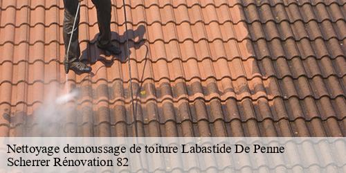 Nettoyage demoussage de toiture  labastide-de-penne-82240 Scherrer Rénovation 82