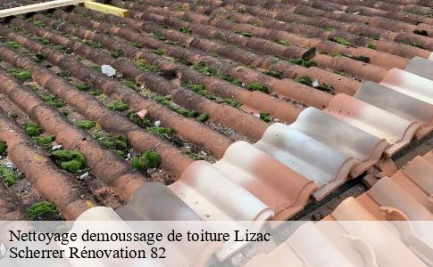 Nettoyage demoussage de toiture  lizac-82200 Scherrer Rénovation 82