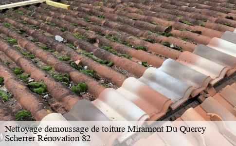 Nettoyage demoussage de toiture  miramont-du-quercy-82190 Scherrer Rénovation 82