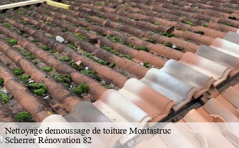 Nettoyage demoussage de toiture  montastruc-82130 Scherrer Rénovation 82