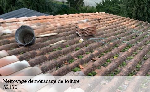 Nettoyage demoussage de toiture  montastruc-82130 Scherrer Rénovation 82