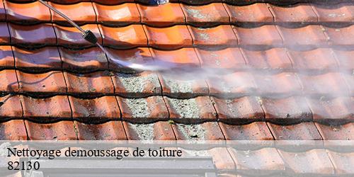 Nettoyage demoussage de toiture  montastruc-82130 Scherrer Rénovation 82