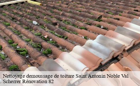 Nettoyage demoussage de toiture  saint-antonin-noble-val-82140 Scherrer Rénovation 82