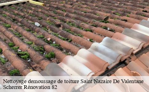 Nettoyage demoussage de toiture  saint-nazaire-de-valentane-82190 Scherrer Rénovation 82