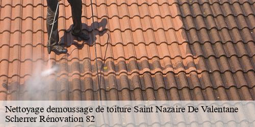 Nettoyage demoussage de toiture  saint-nazaire-de-valentane-82190 Scherrer Rénovation 82