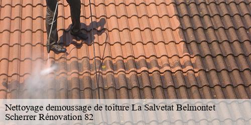 Nettoyage demoussage de toiture  la-salvetat-belmontet-82230 Scherrer Rénovation 82