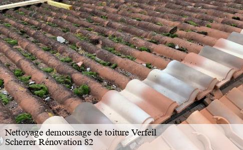 Nettoyage demoussage de toiture  verfeil-82330 Scherrer Rénovation 82