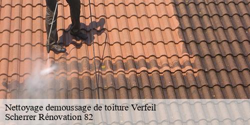 Nettoyage demoussage de toiture  verfeil-82330 Scherrer Rénovation 82