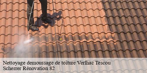 Nettoyage demoussage de toiture  verlhac-tescou-82230 Scherrer Rénovation 82