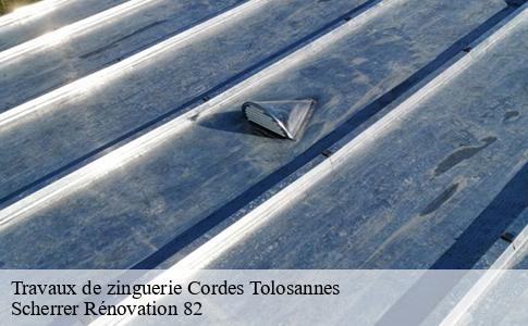 Travaux de zinguerie  cordes-tolosannes-82700 Scherrer Rénovation 82
