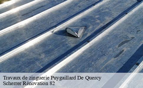 Travaux de zinguerie  puygaillard-de-quercy-82800 Scherrer Rénovation 82