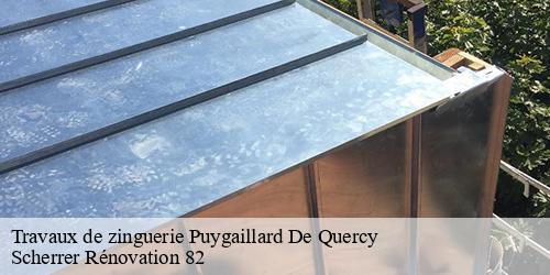 Travaux de zinguerie  puygaillard-de-quercy-82800 Scherrer Rénovation 82