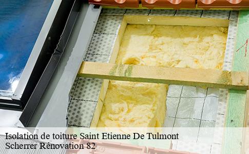 Isolation de toiture  saint-etienne-de-tulmont-82410 Scherrer Rénovation 82