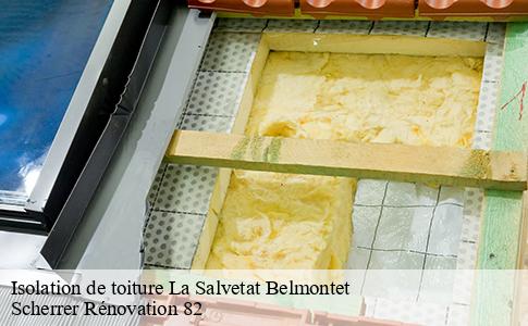 Isolation de toiture  la-salvetat-belmontet-82230 Scherrer Rénovation 82
