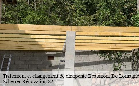 Traitement et changement de charpente  beaumont-de-lomagne-82500 Scherrer Rénovation 82