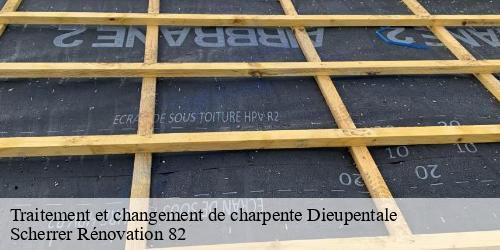 Traitement et changement de charpente  dieupentale-82170 Scherrer Rénovation 82