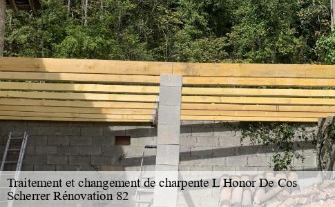 Traitement et changement de charpente  l-honor-de-cos-82130 Scherrer Rénovation 82