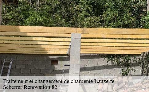 Traitement et changement de charpente  lauzerte-82110 Scherrer Rénovation 82