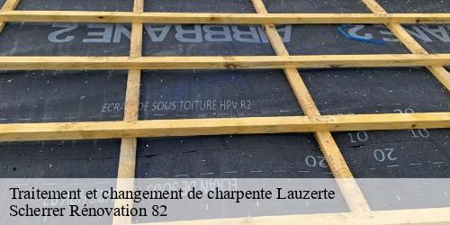 Traitement et changement de charpente  lauzerte-82110 Scherrer Rénovation 82