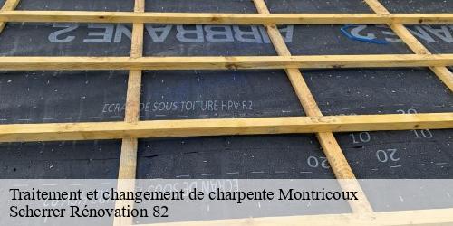 Traitement et changement de charpente  montricoux-82800 Scherrer Rénovation 82