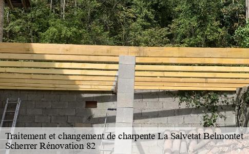 Traitement et changement de charpente  la-salvetat-belmontet-82230 Scherrer Rénovation 82