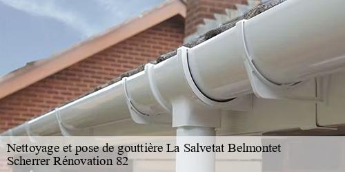 Nettoyage et pose de gouttière  la-salvetat-belmontet-82230 Scherrer Rénovation 82
